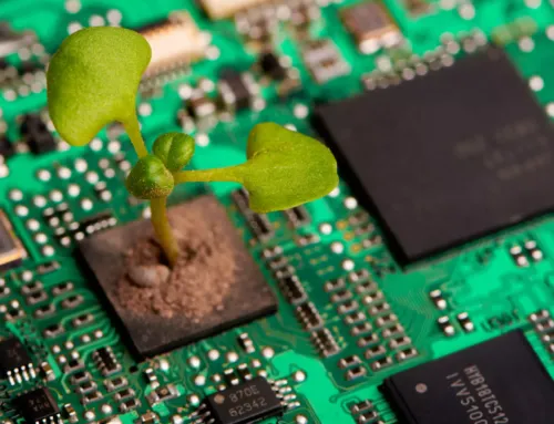 Sustainability and POS Systems: Going Green in 2025